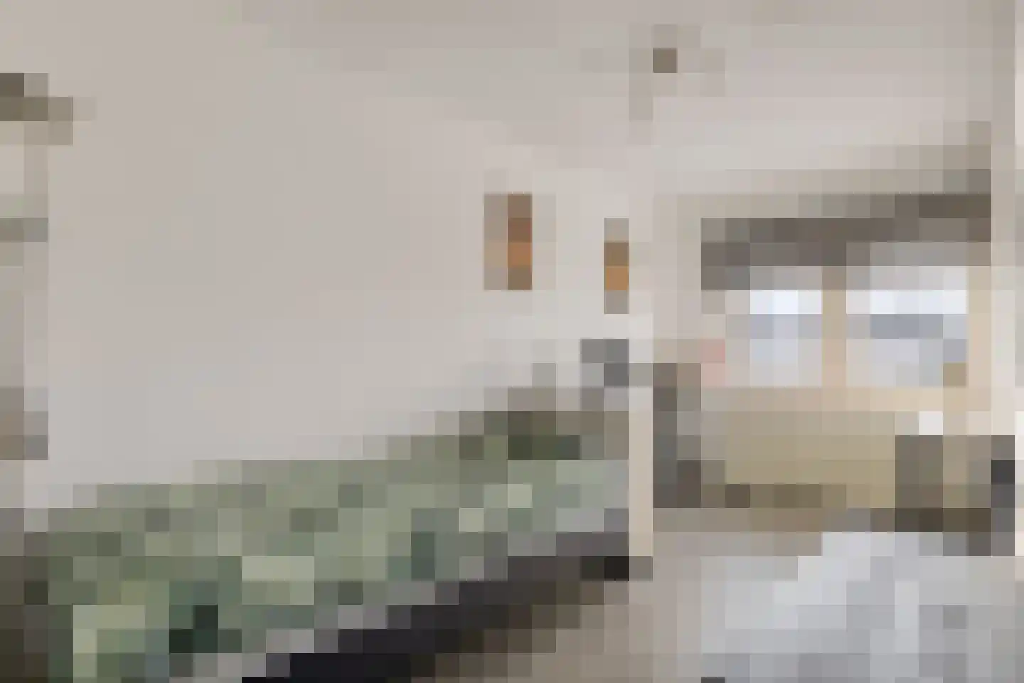 Bergen op Zoomstraat 69 Eindhoven thumbnail 24