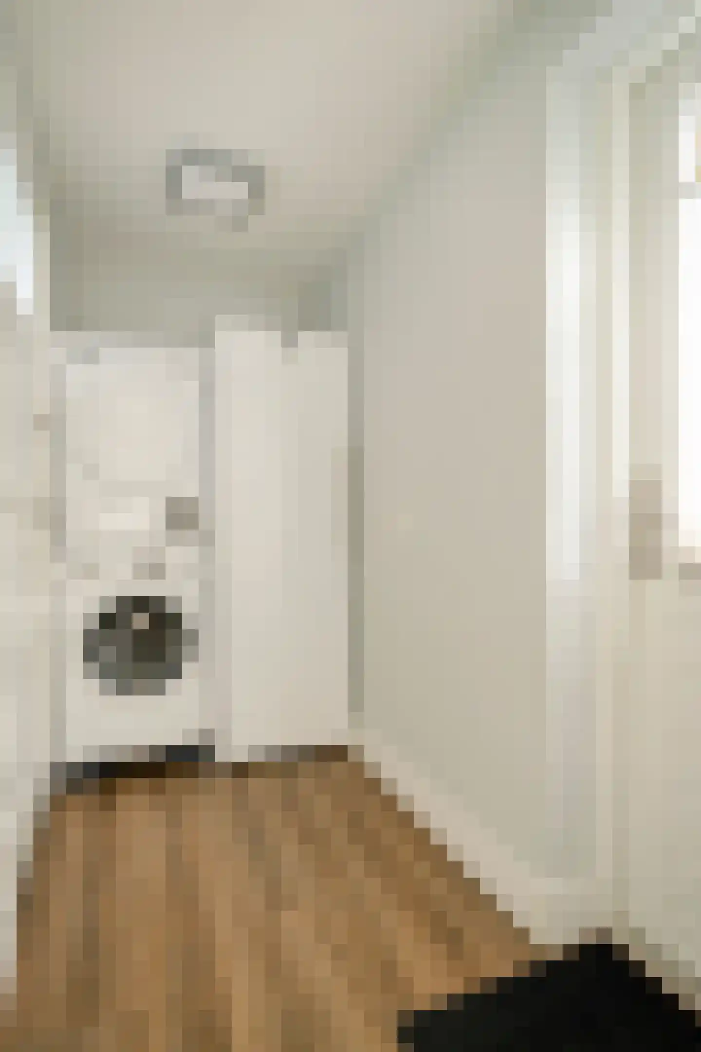Bergen op Zoomstraat 83 Eindhoven thumbnail 17