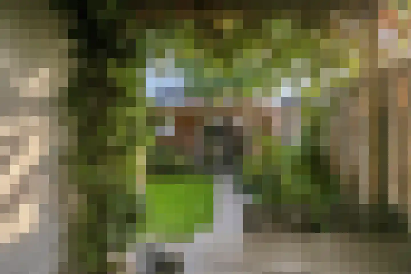 Bergen op Zoomstraat 83 Eindhoven thumbnail 32