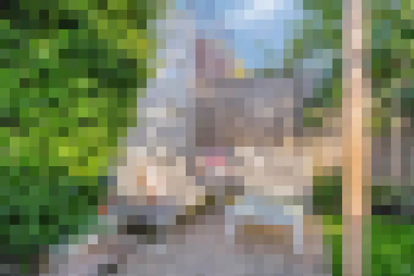 Bergen op Zoomstraat 83 Eindhoven thumbnail 34
