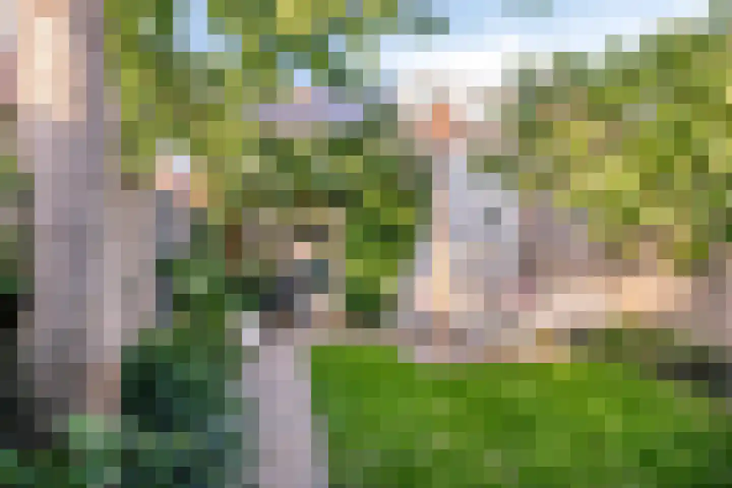 Bergen op Zoomstraat 83 Eindhoven thumbnail 35
