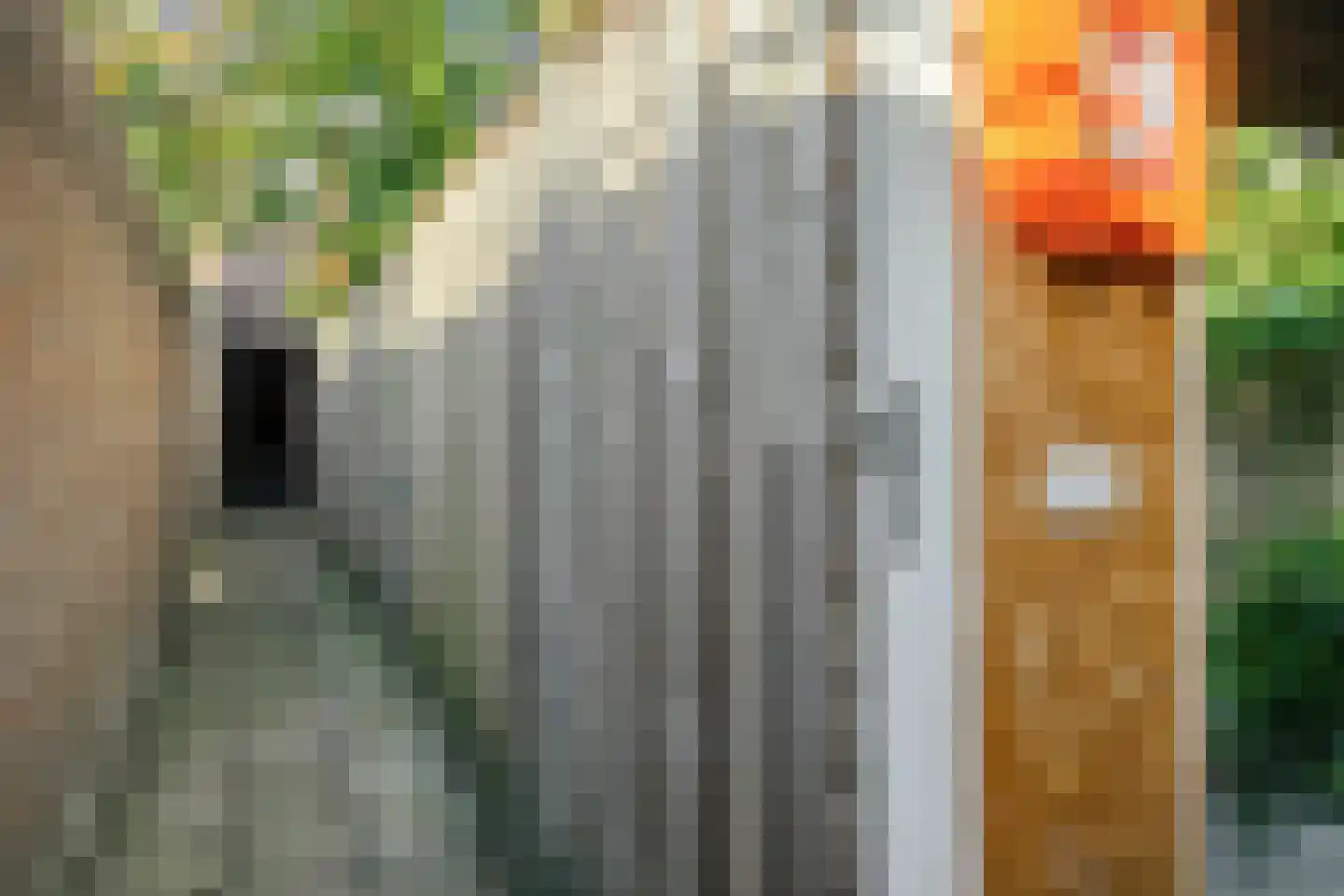 Bergen op Zoomstraat 83 Eindhoven thumbnail 37