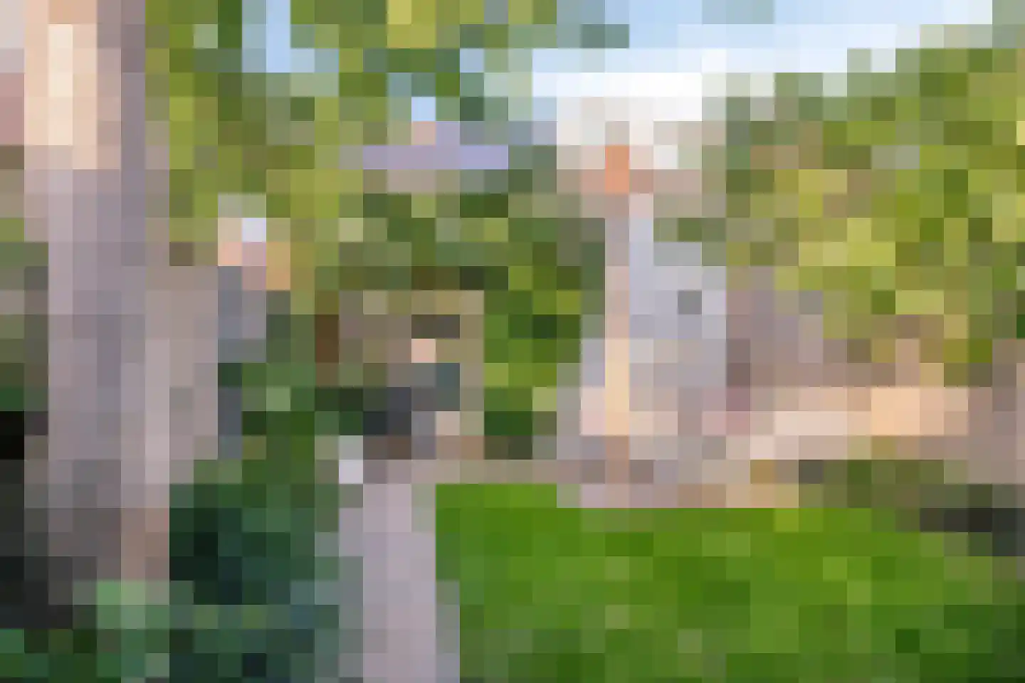 Bergen op Zoomstraat 83 Eindhoven thumbnail 4