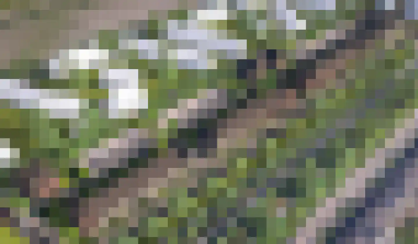 Bergenboulevard 107 Amersfoort thumbnail 20