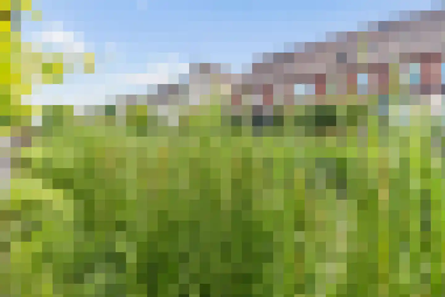 Bergenboulevard 116 Amersfoort thumbnail 65