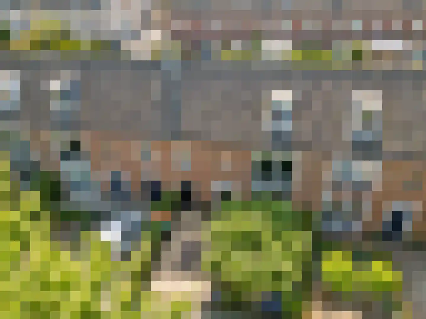 Bergenboulevard 116 Amersfoort thumbnail 83