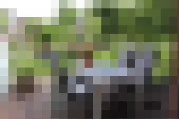 Bergenboulevard 34 Amersfoort thumbnail 16