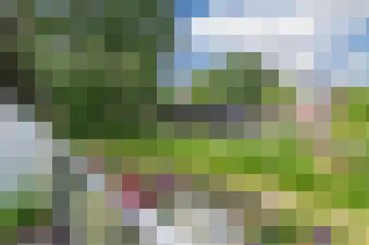 Bergenboulevard 34 Amersfoort thumbnail 19