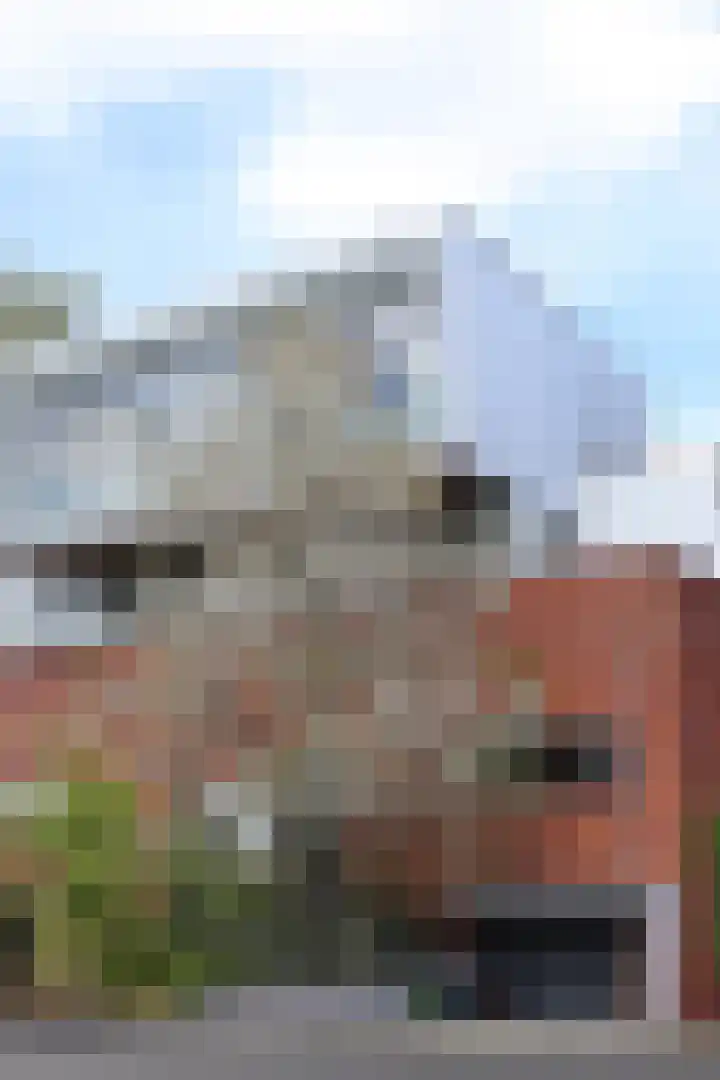 Bergenboulevard 34 Amersfoort thumbnail 63