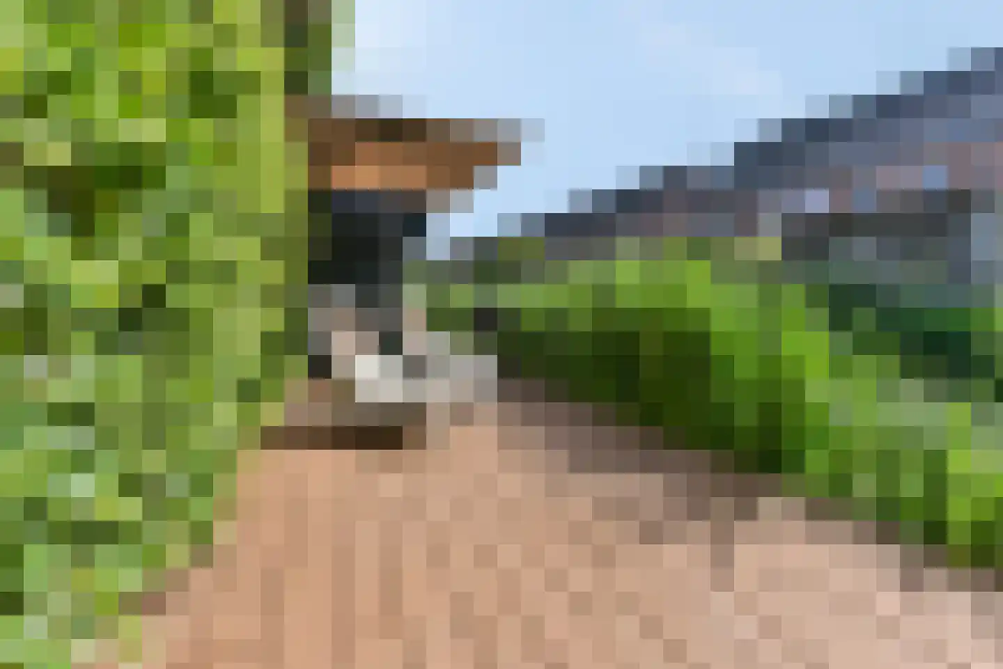 Bergenboulevard 96 Amersfoort thumbnail 35