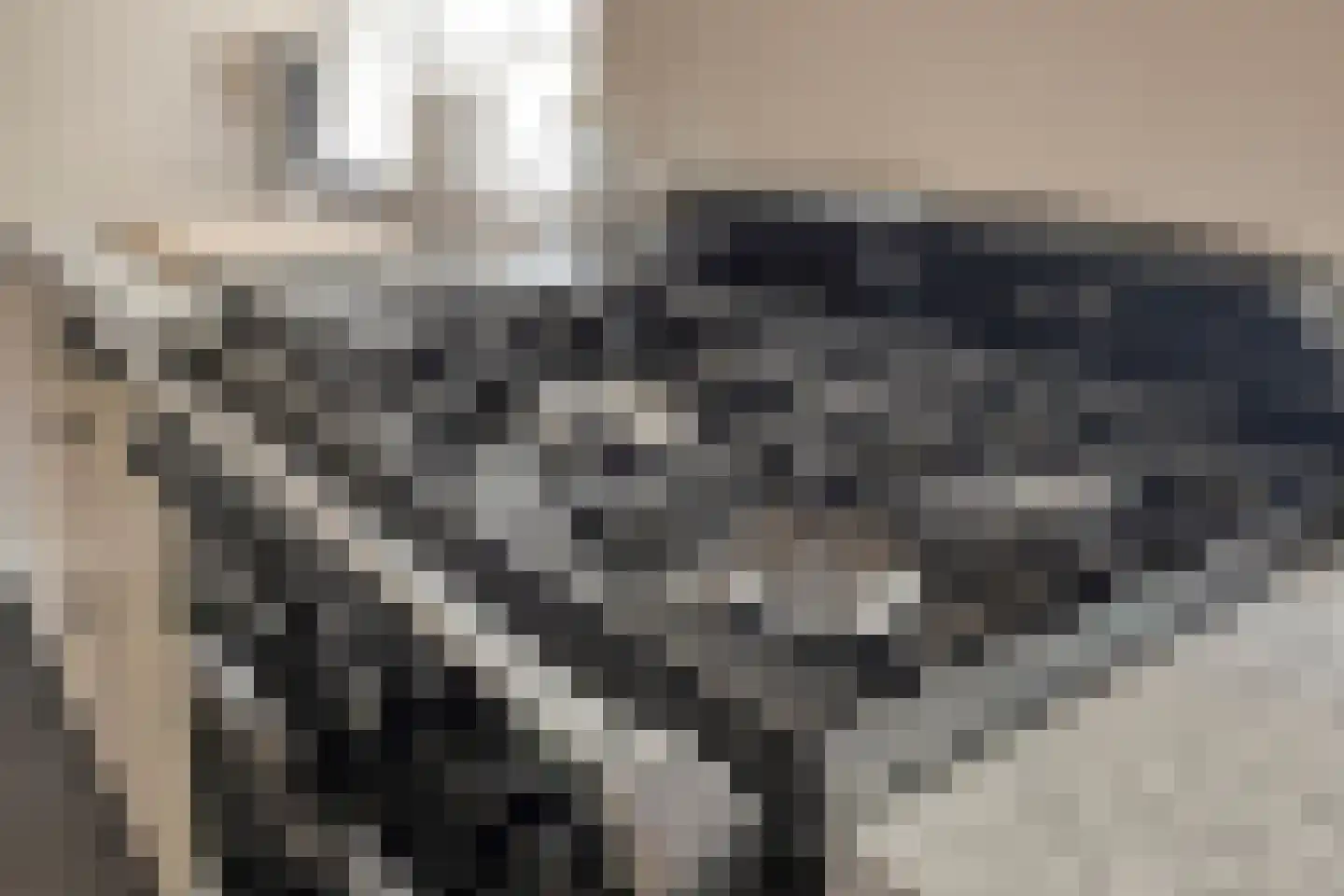 Bergenstraat 3 a Raamsdonk thumbnail 18