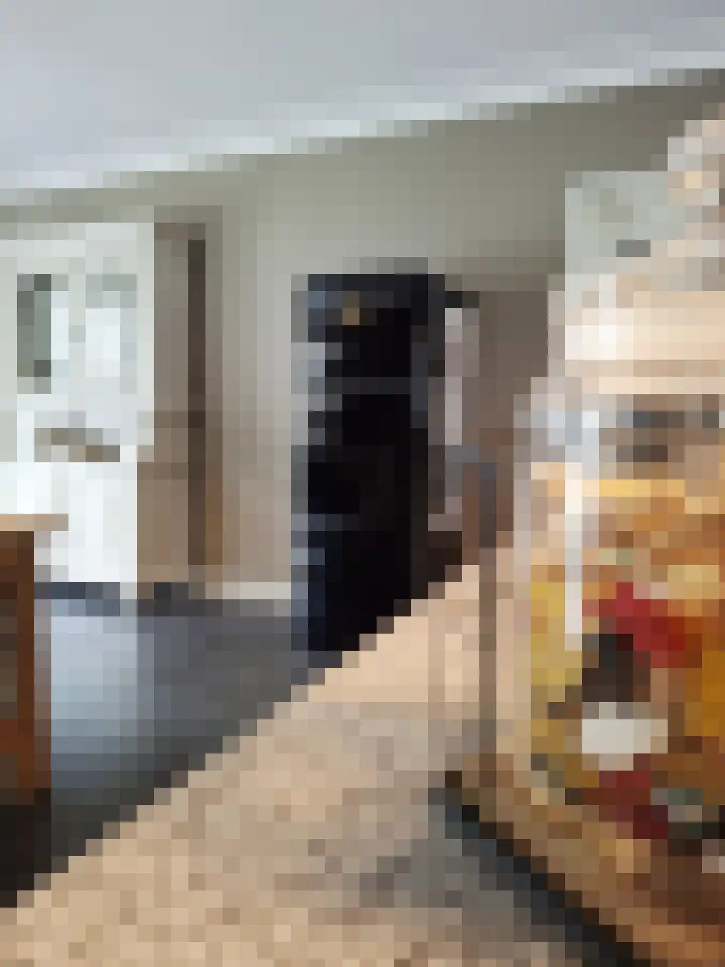 Bergenstraat 3 a Raamsdonk thumbnail 20