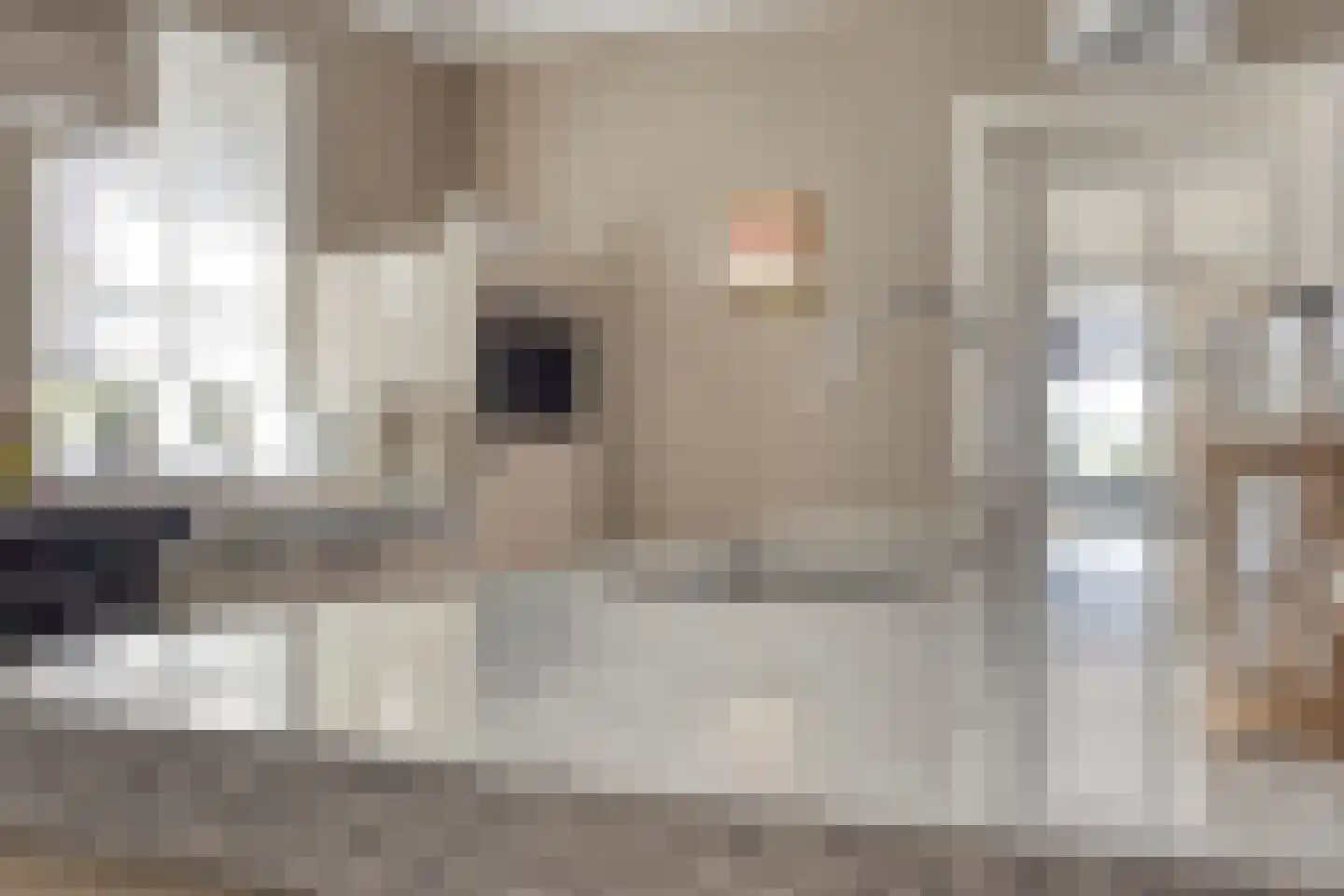 Bergenstraat 3 a Raamsdonk thumbnail 22