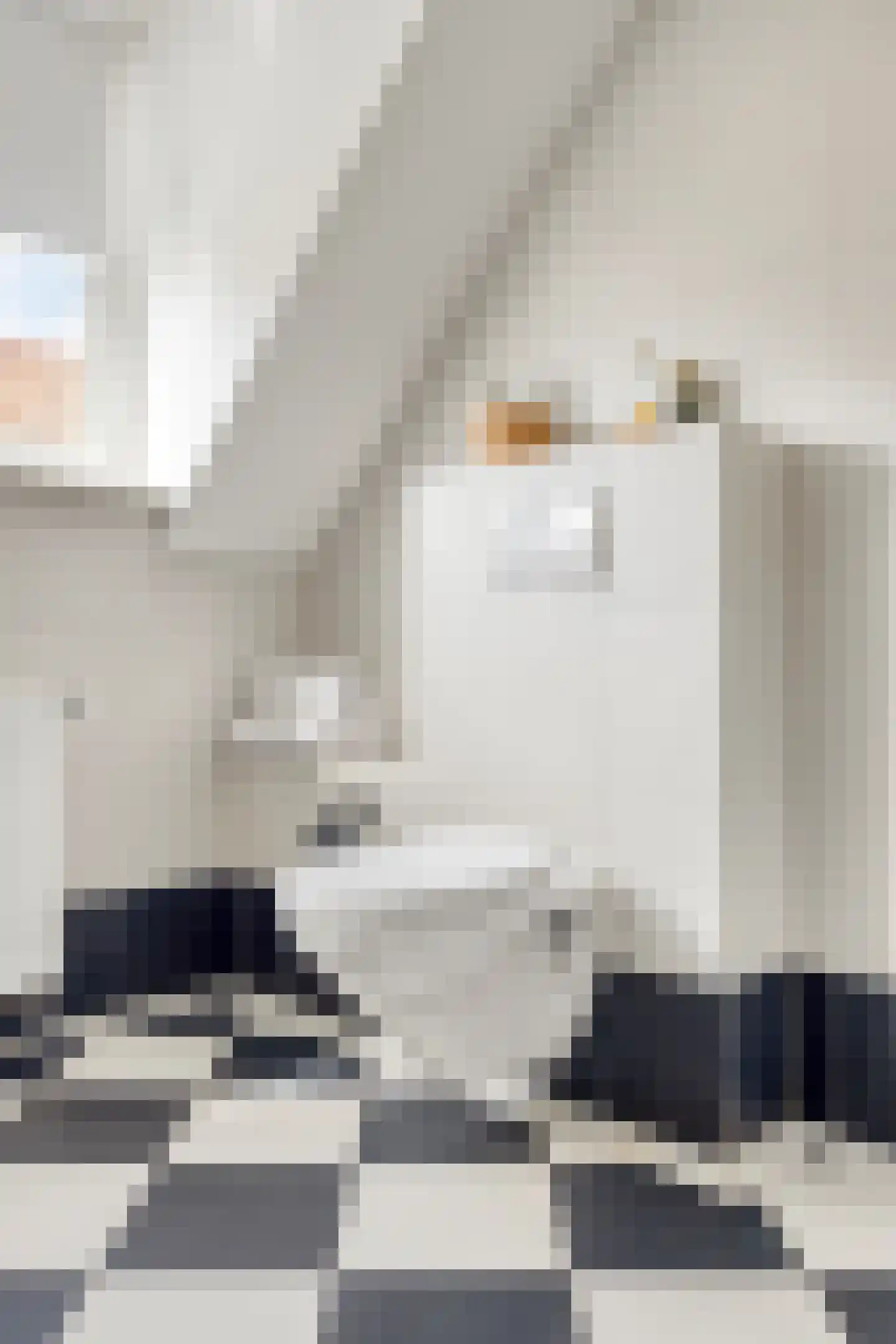 Bergenstraat 3 a Raamsdonk thumbnail 33