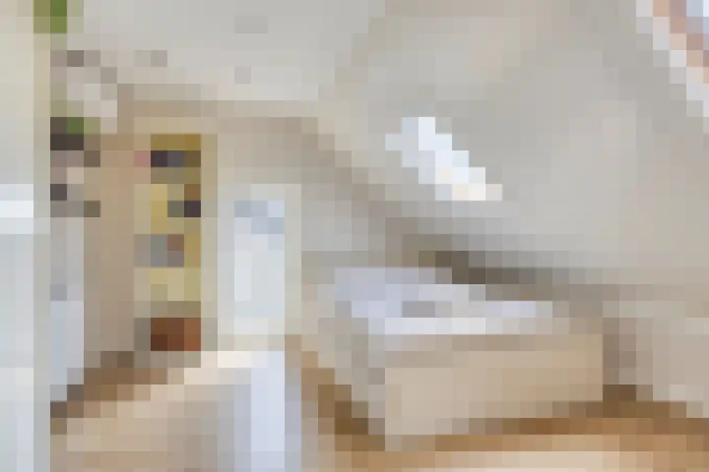 Bergenstraat 3 a Raamsdonk thumbnail 37