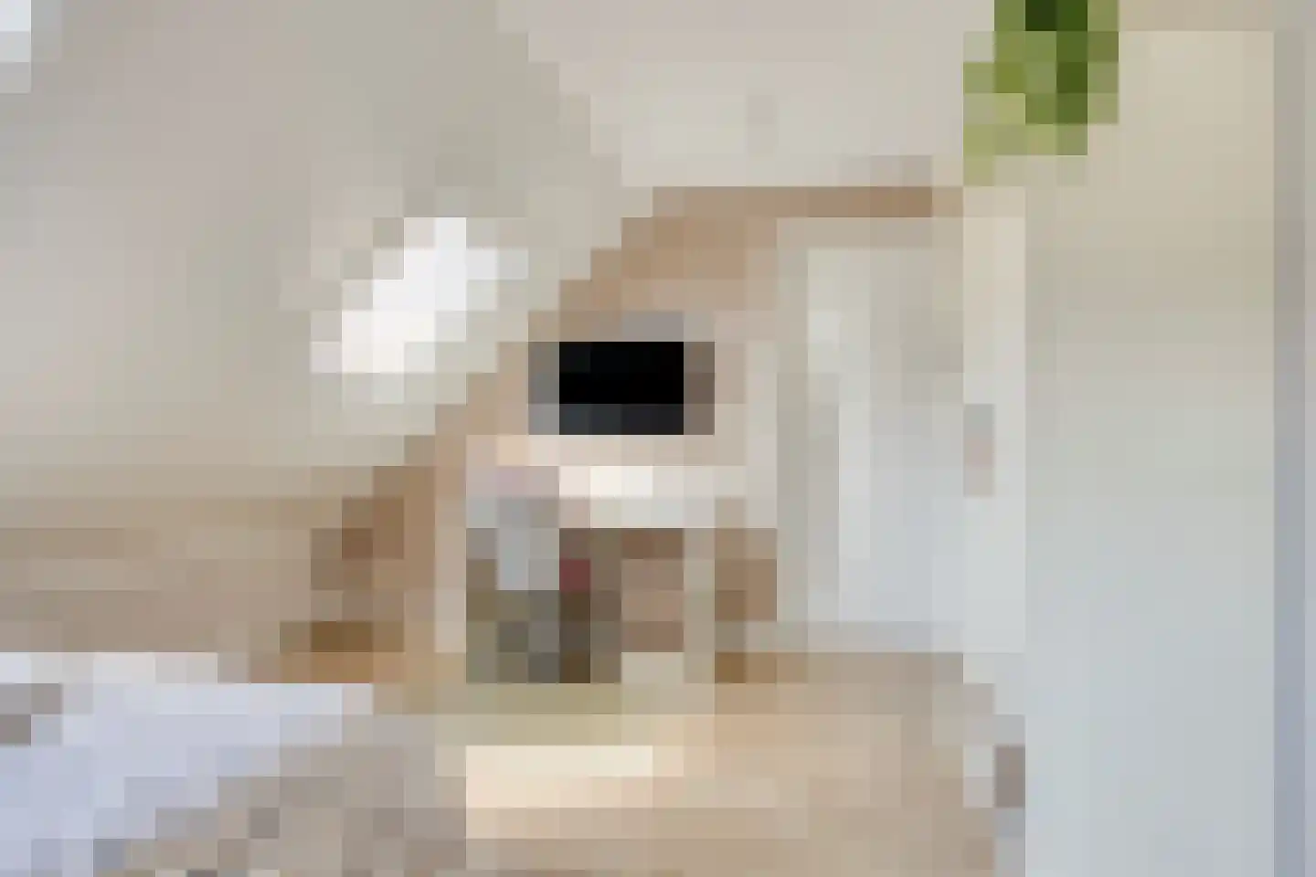 Bergenstraat 3 a Raamsdonk thumbnail 38