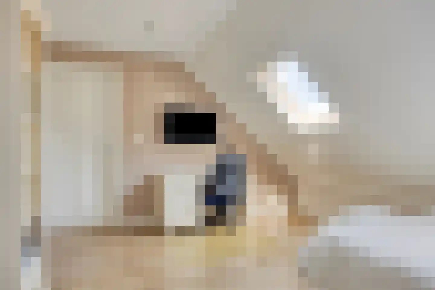 Bergenstraat 3 a Raamsdonk thumbnail 40