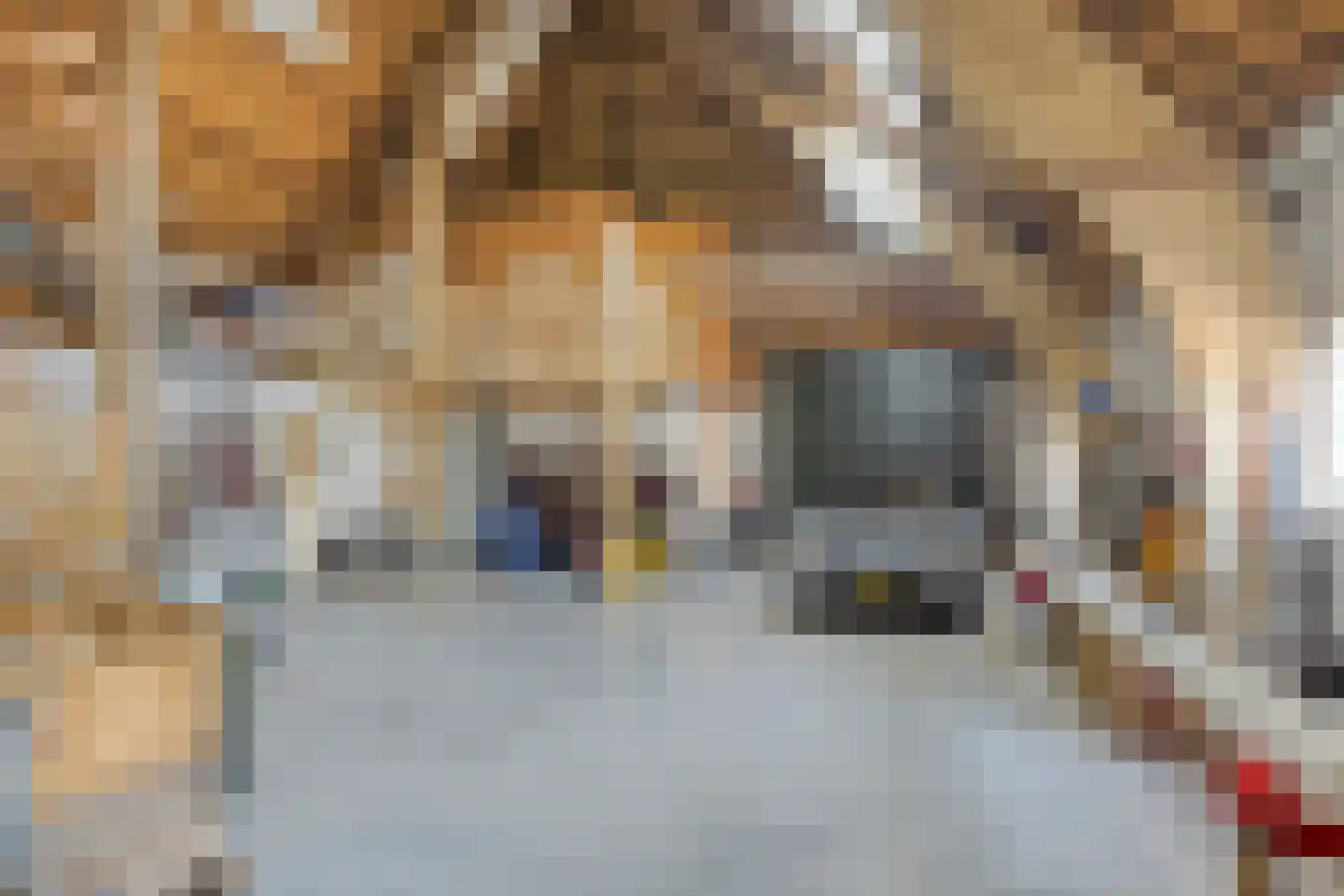Bergenstraat 3 a Raamsdonk thumbnail 43