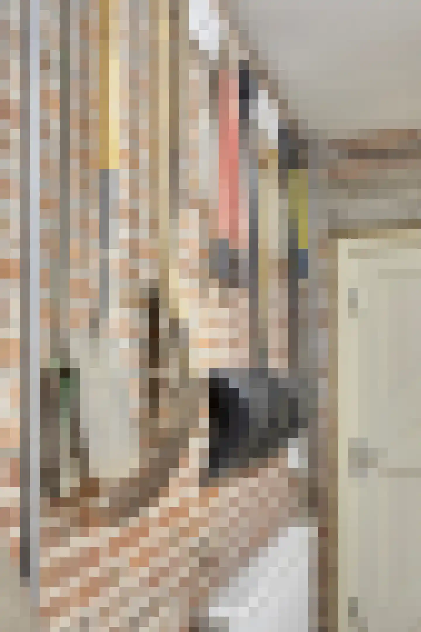 Bergenstraat 3 a Raamsdonk thumbnail 46