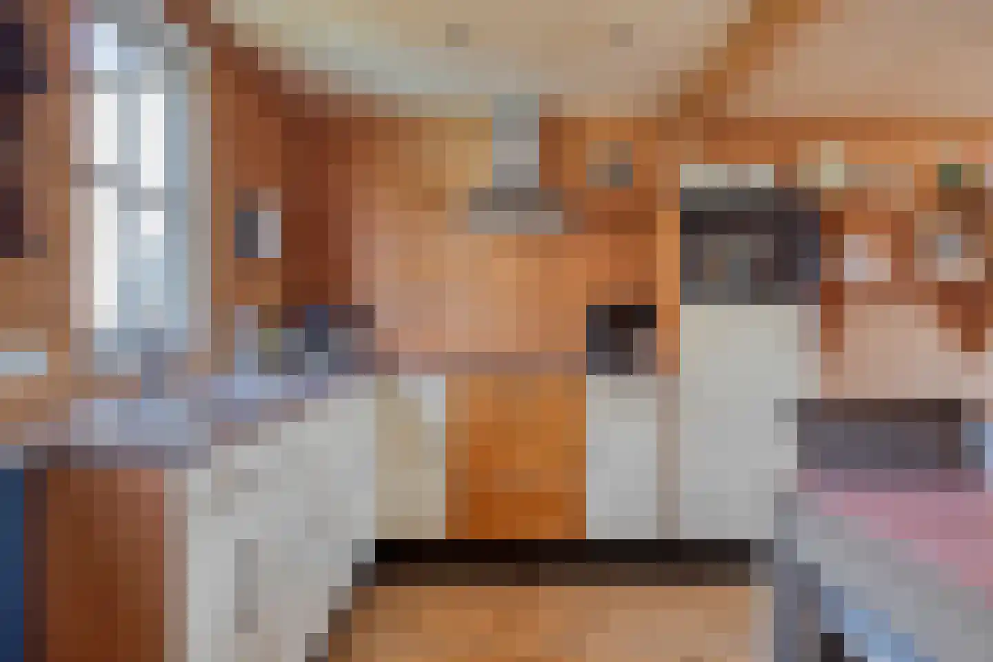 Bergenstraat 3 a Raamsdonk thumbnail 49