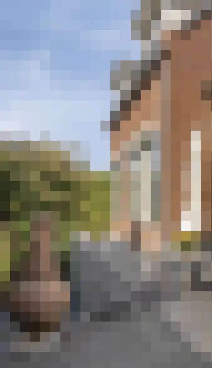 Bergenstraat 3 a Raamsdonk thumbnail 66