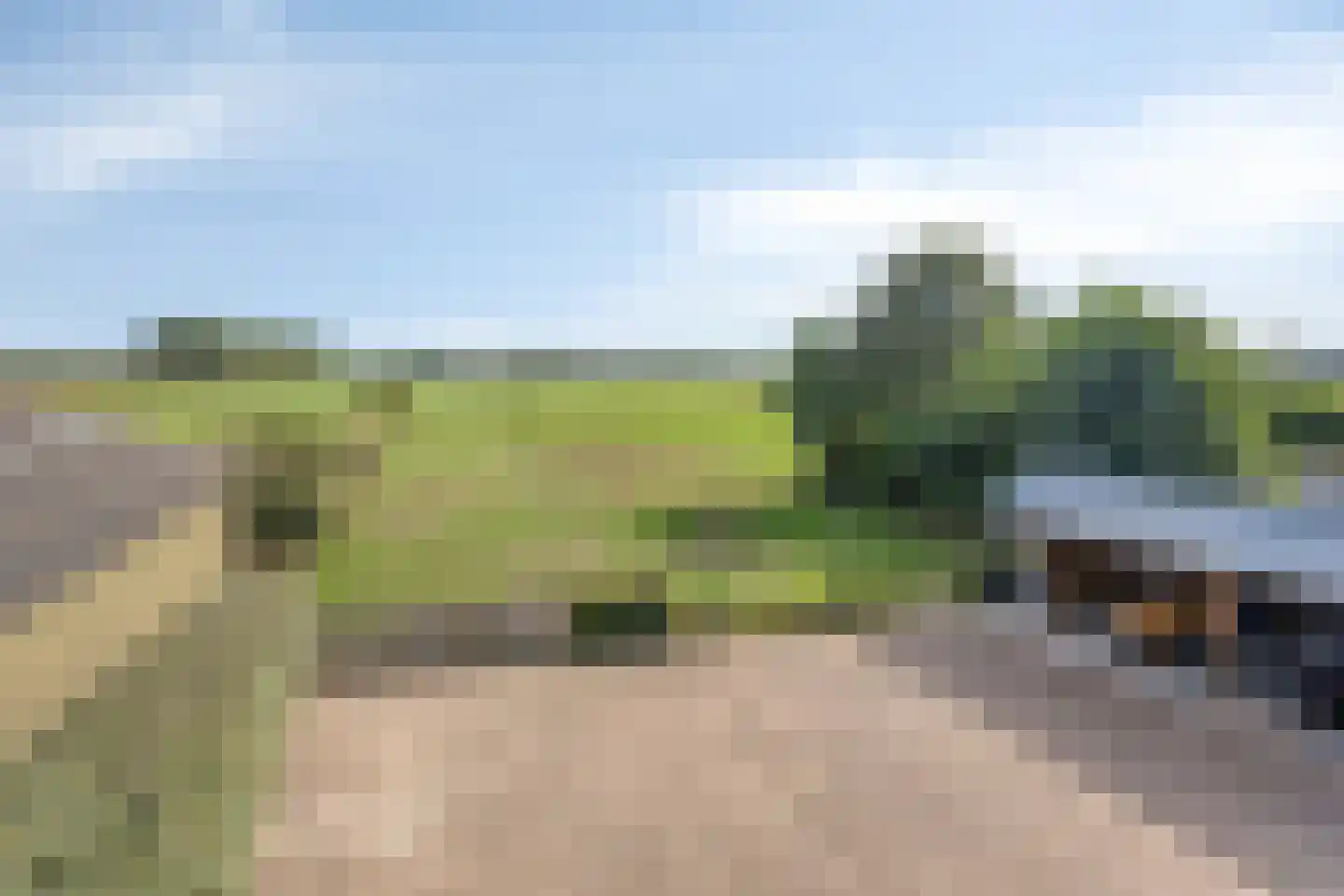 Bergenstraat 3 a Raamsdonk thumbnail 69