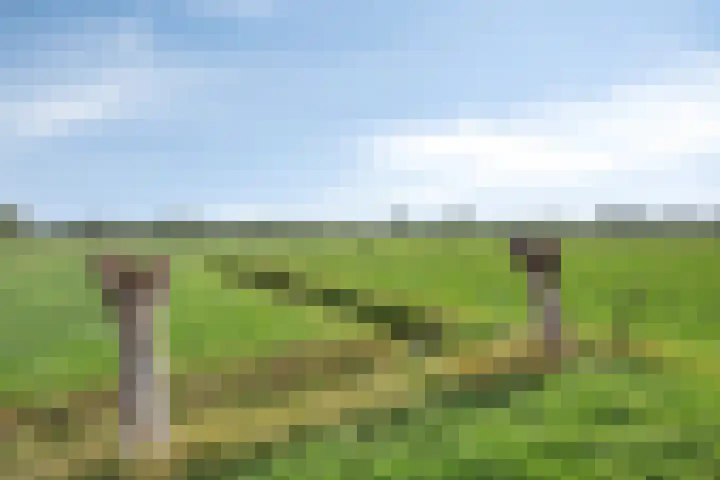 Bergenstraat 3 a Raamsdonk thumbnail 7