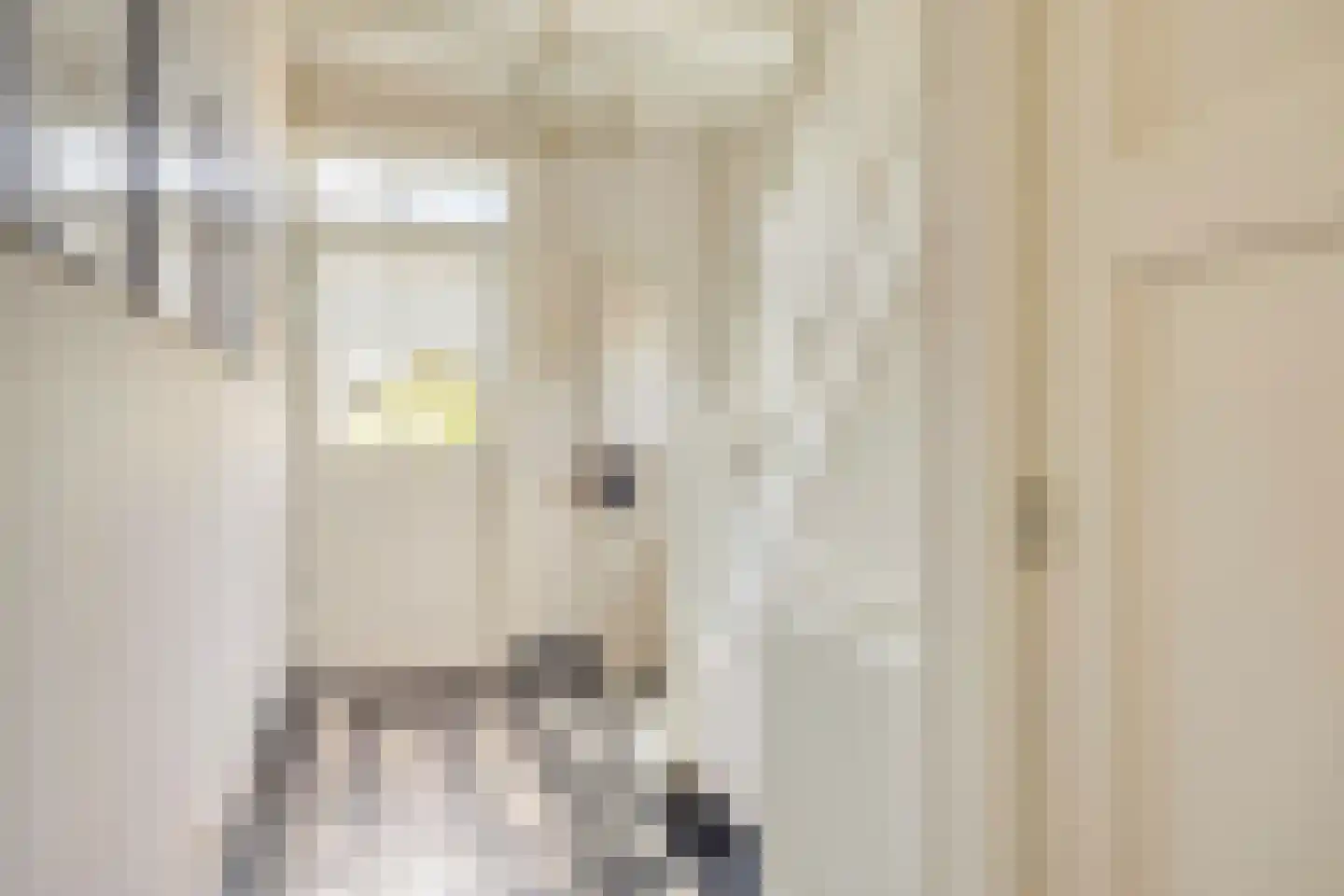 Bergenstraat 3 a Raamsdonk thumbnail 8