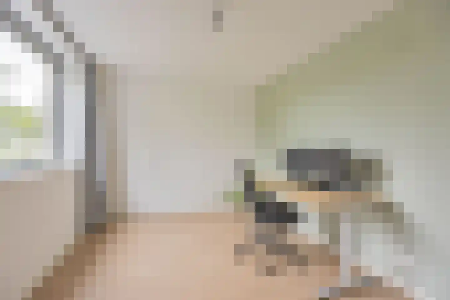 Bergentheimstraat 17 Zwolle thumbnail 33