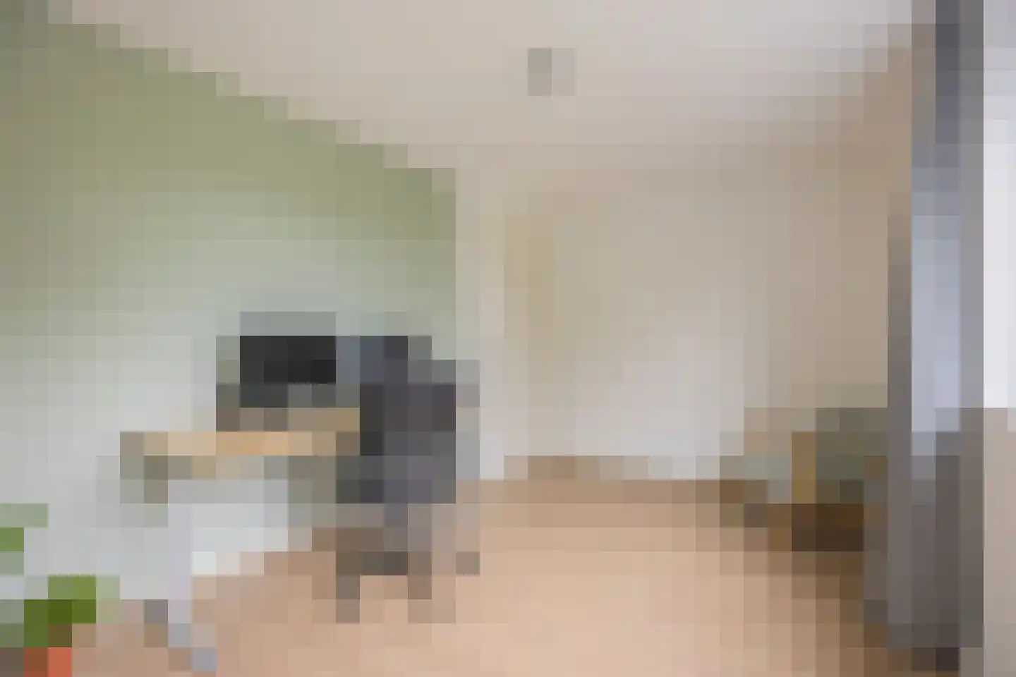 Bergentheimstraat 17 Zwolle thumbnail 34