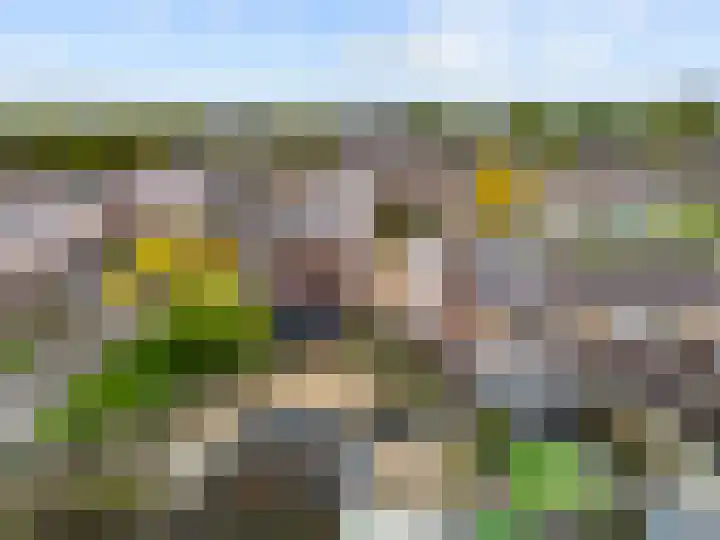Bergenvaardershof 21 Medemblik thumbnail 37