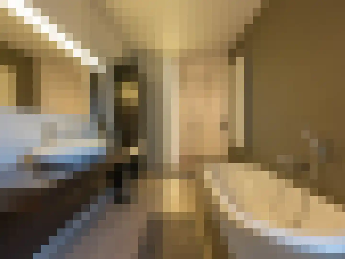 Berger Maasstraat 3650 Dilsen-Stokkem Urmond thumbnail 19