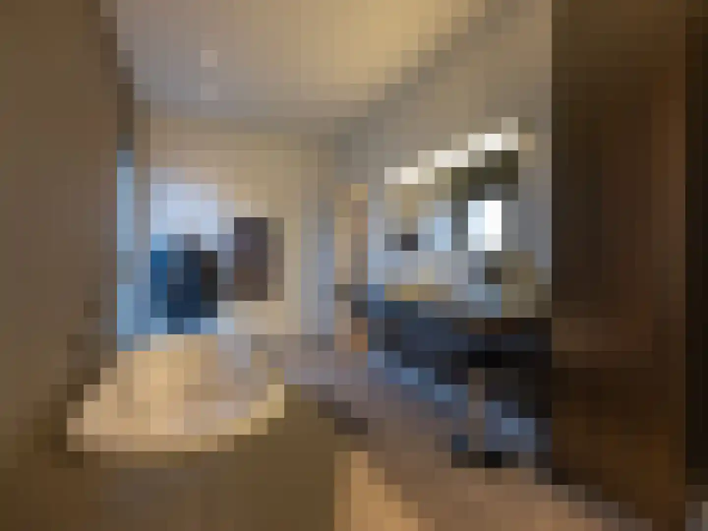 Berger Maasstraat 3650 Dilsen-Stokkem Urmond thumbnail 21