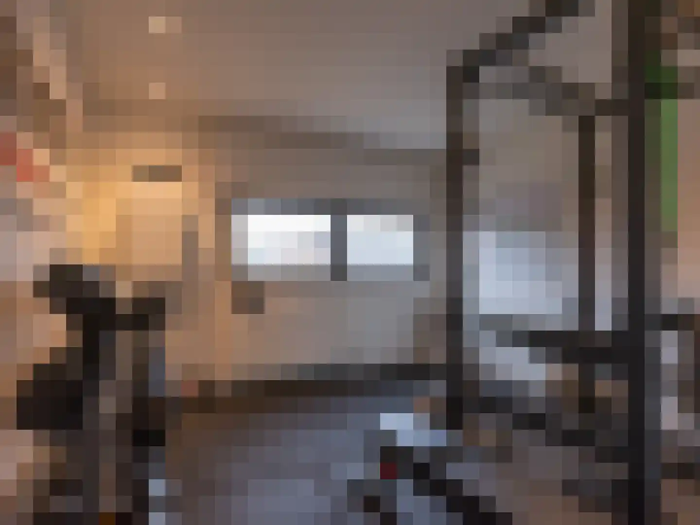 Berger Maasstraat 3650 Dilsen-Stokkem Urmond thumbnail 26
