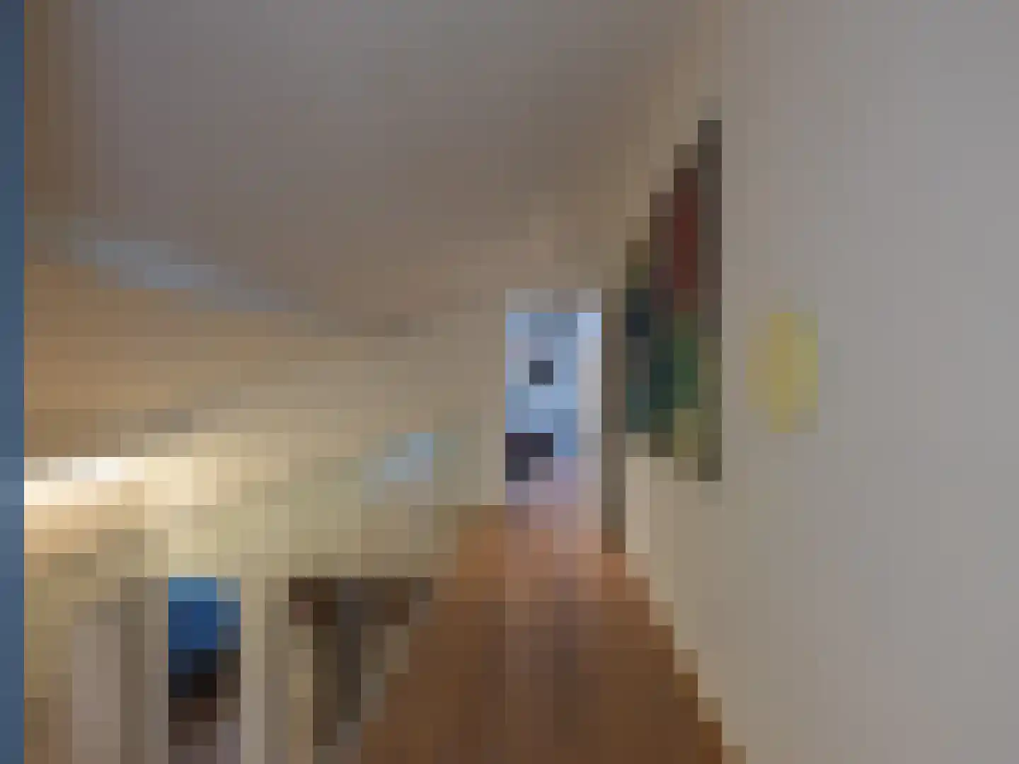 Berger Maasstraat 3650 Dilsen-Stokkem Urmond thumbnail 32