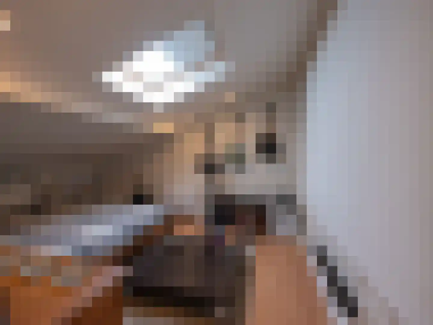 Berger Maasstraat 3650 Dilsen-Stokkem Urmond thumbnail 33