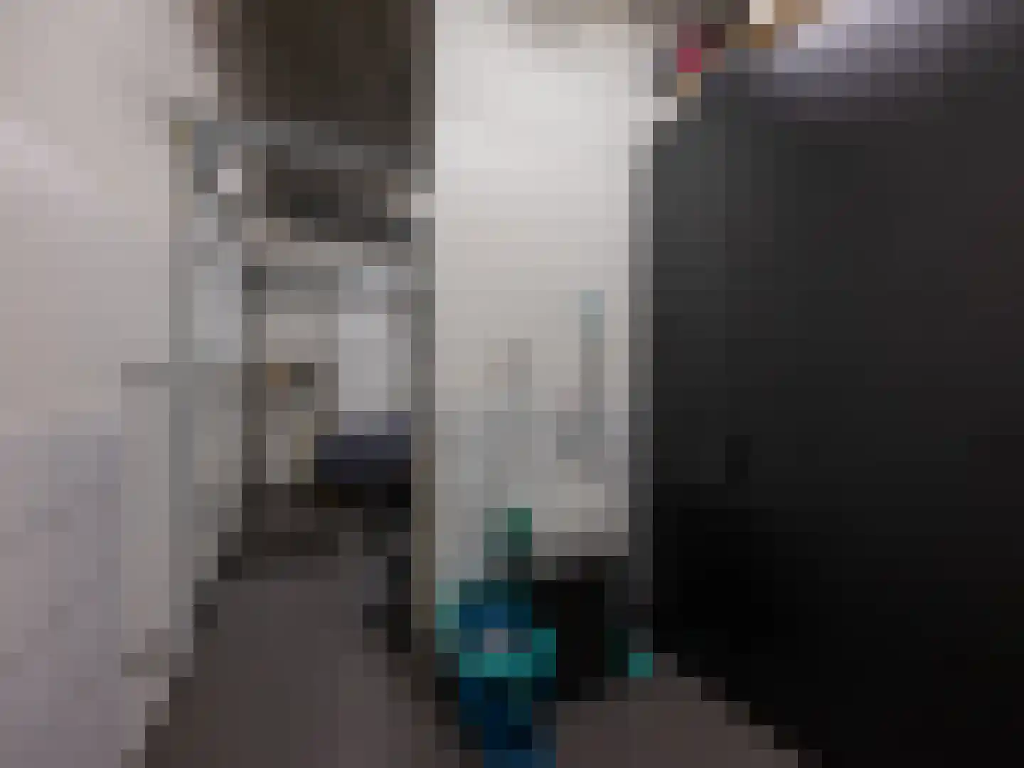 Berger Maasstraat 3650 Dilsen-Stokkem Urmond thumbnail 40