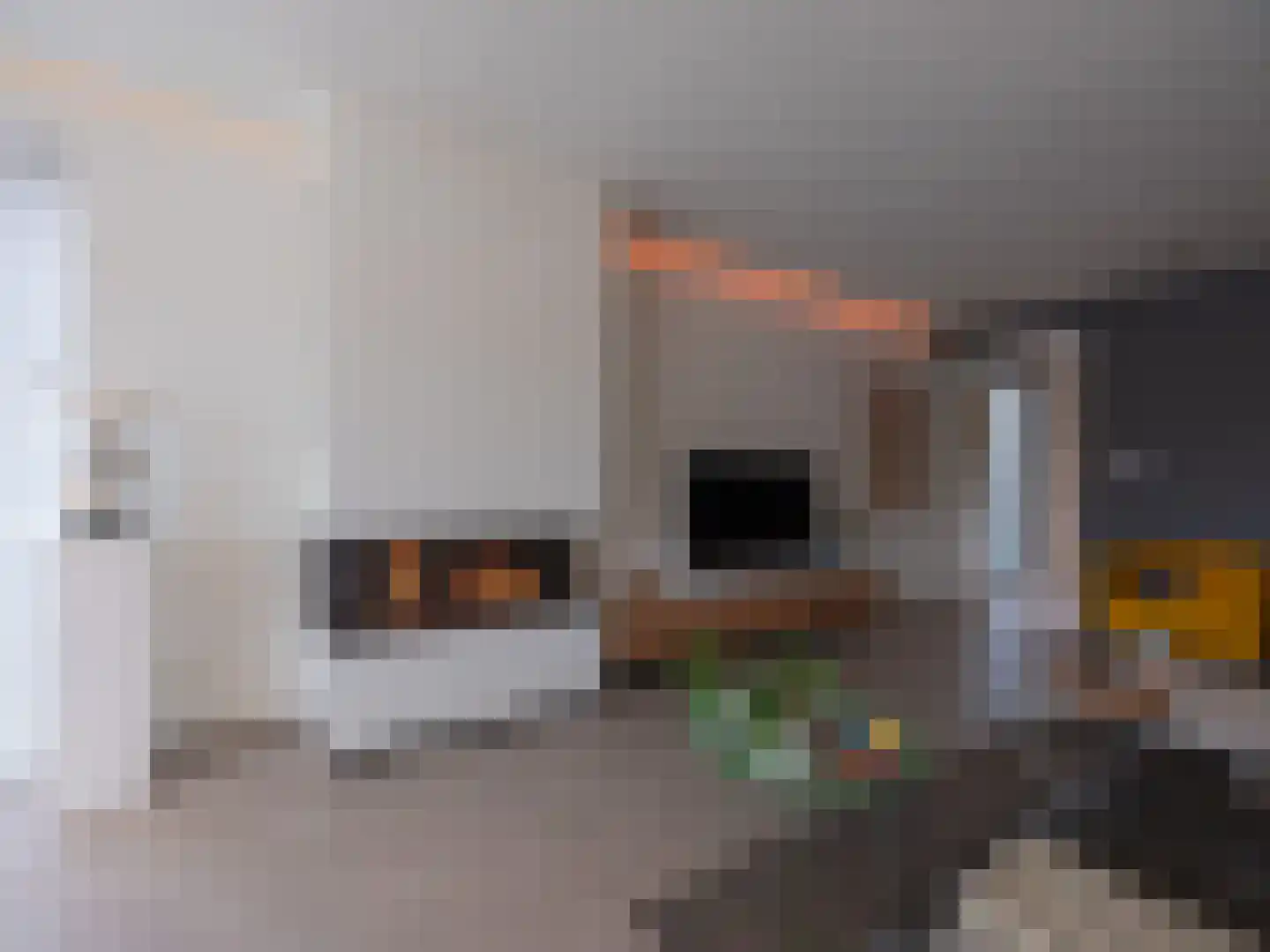 Berger Maasstraat 3650 Dilsen-Stokkem Urmond thumbnail 5