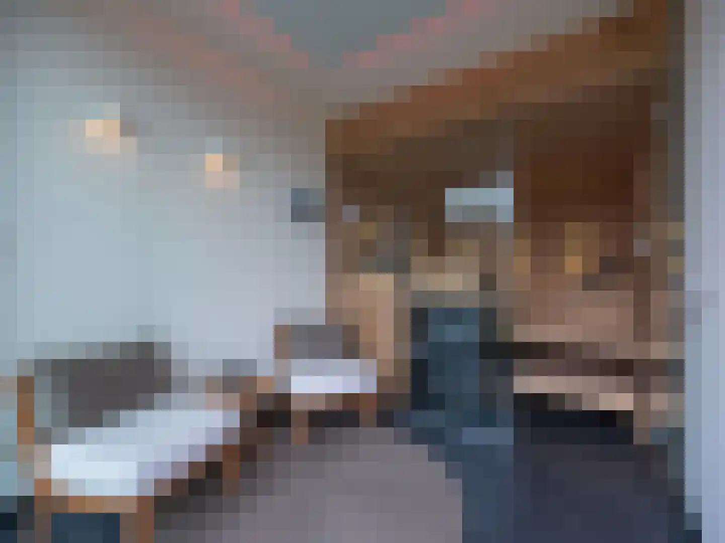 Berger Maasstraat 3650 Dilsen-Stokkem Urmond thumbnail 55