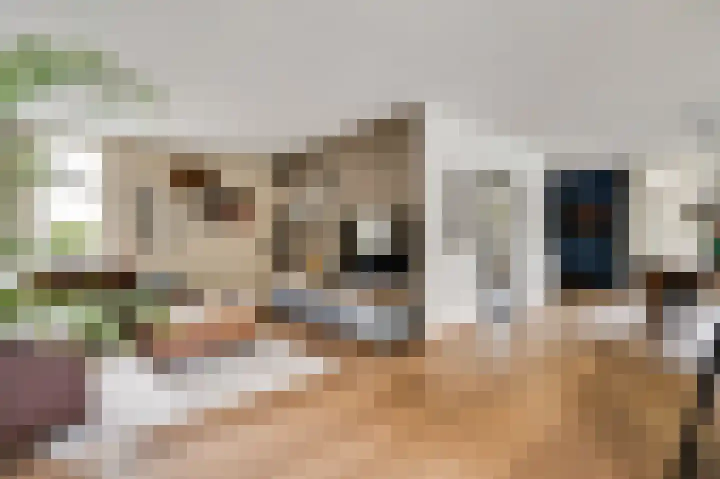 Berger-ven 2 Horn thumbnail 11