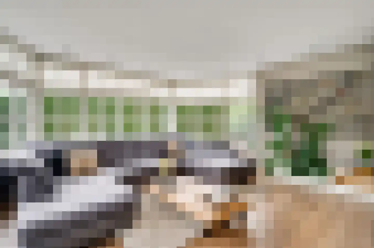 Berger-ven 2 Horn thumbnail 18