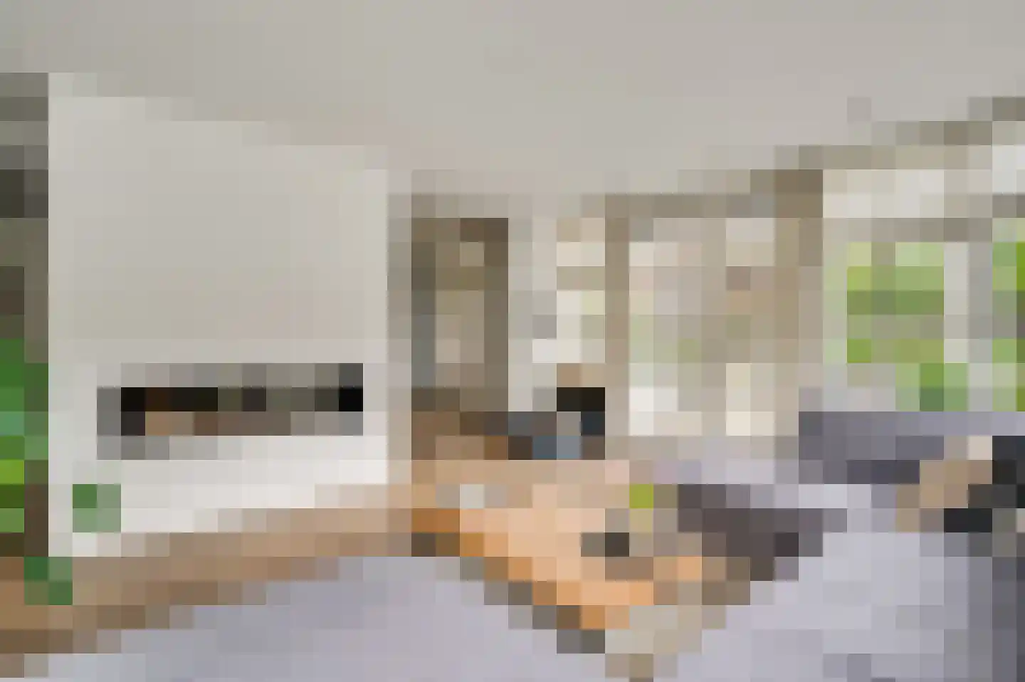 Berger-ven 2 Horn thumbnail 20