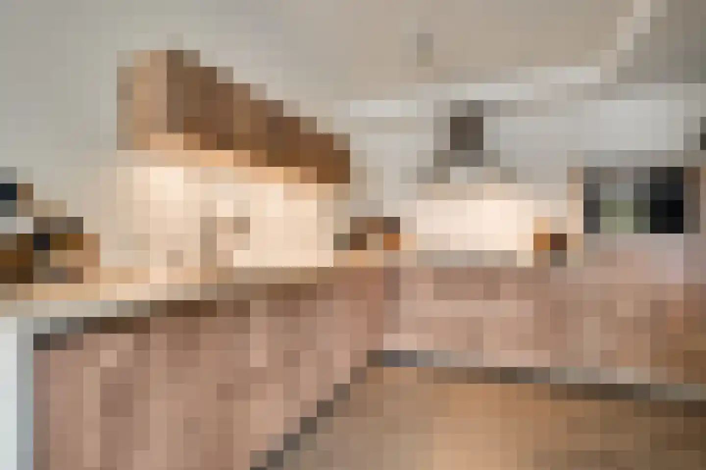 Berger-ven 2 Horn thumbnail 21