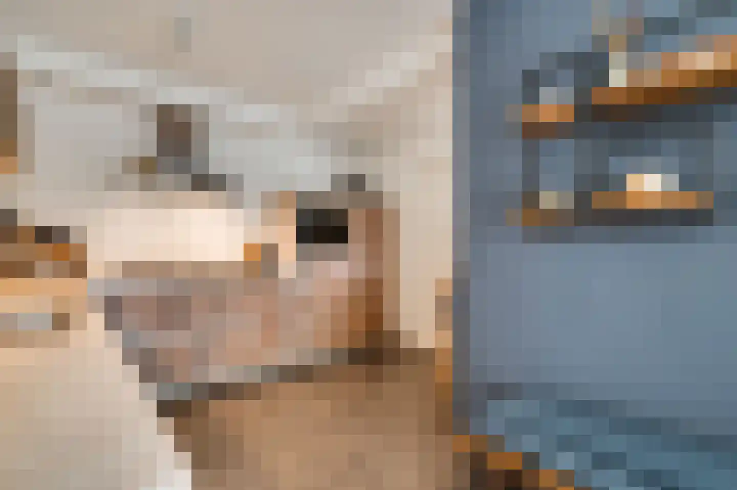Berger-ven 2 Horn thumbnail 22