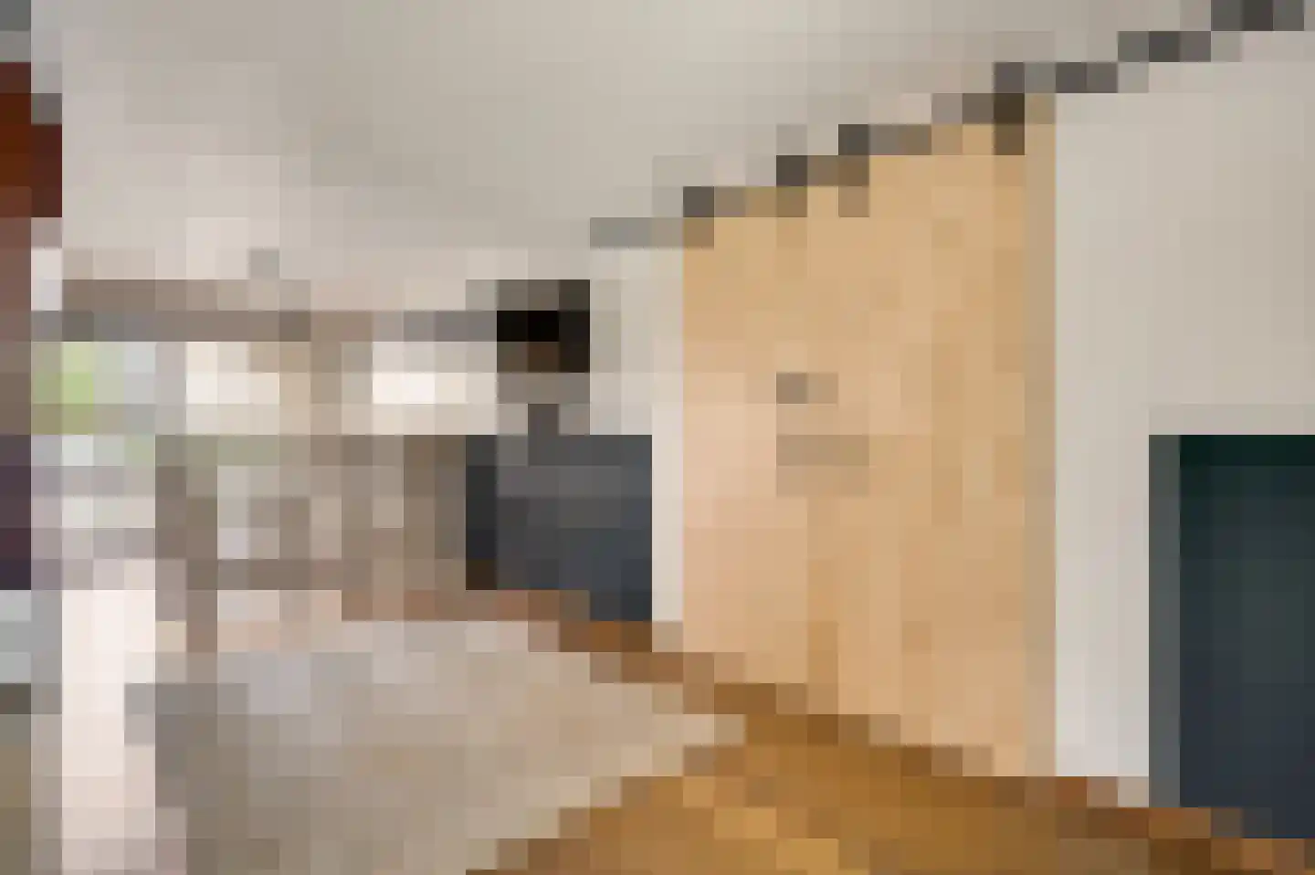 Berger-ven 2 Horn thumbnail 26