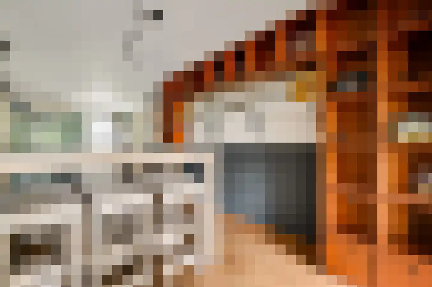 Berger-ven 2 Horn thumbnail 27