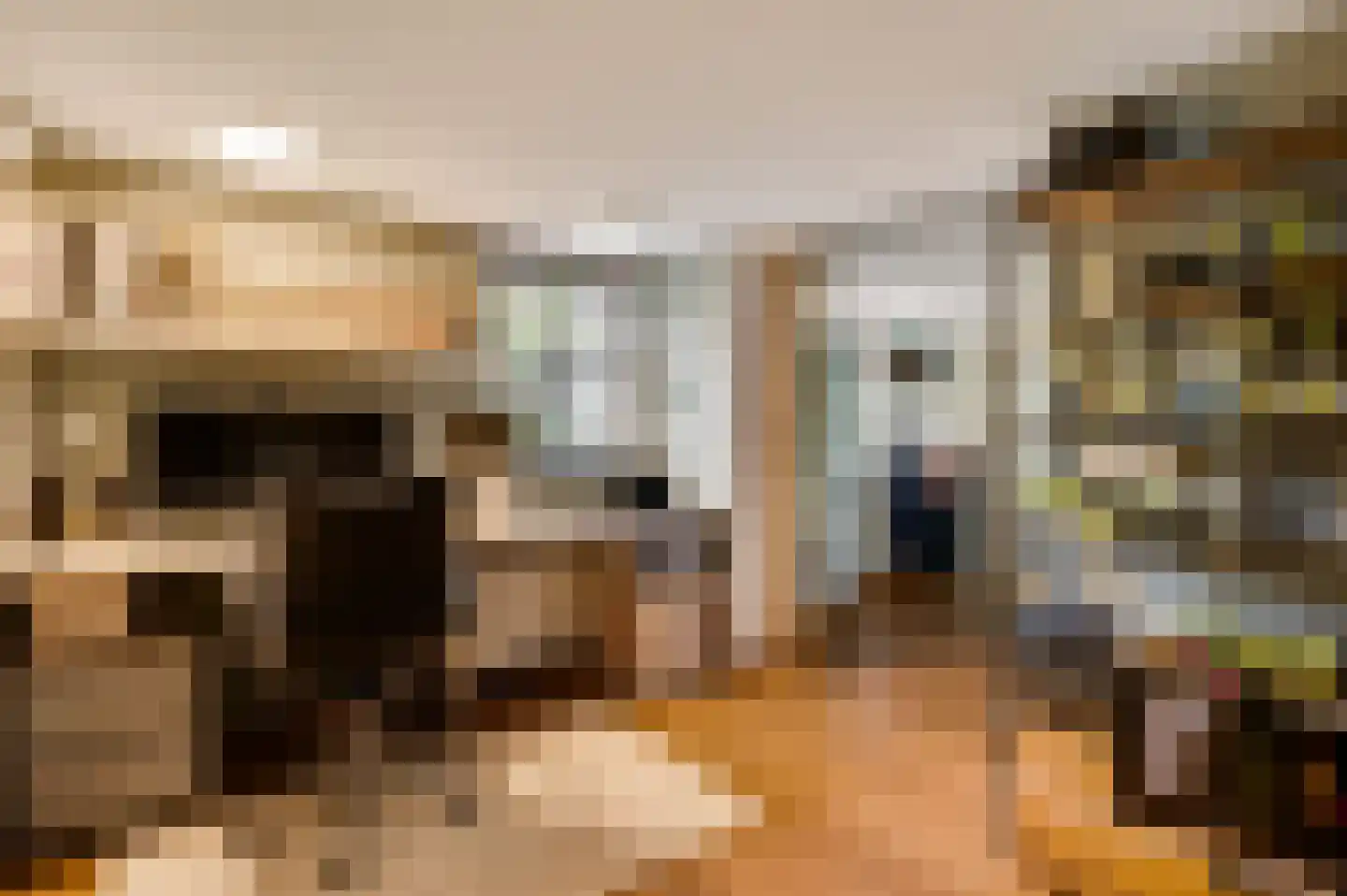 Berger-ven 2 Horn thumbnail 29