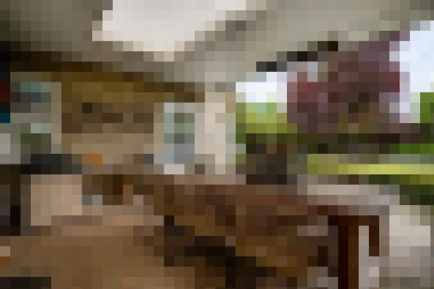 Berger-ven 2 Horn thumbnail 30