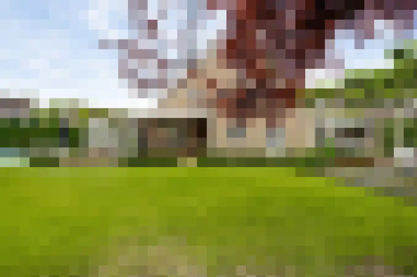 Berger-ven 2 Horn thumbnail 35