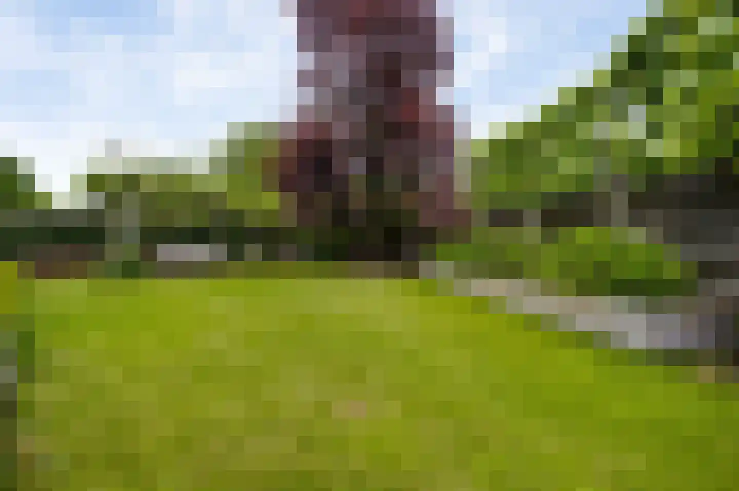 Berger-ven 2 Horn thumbnail 37